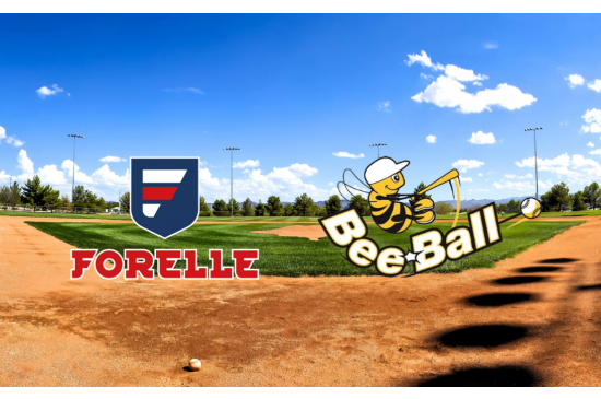 Experience the Thrill: National Beeball Day 2024 - Forelle American Sports Equipment